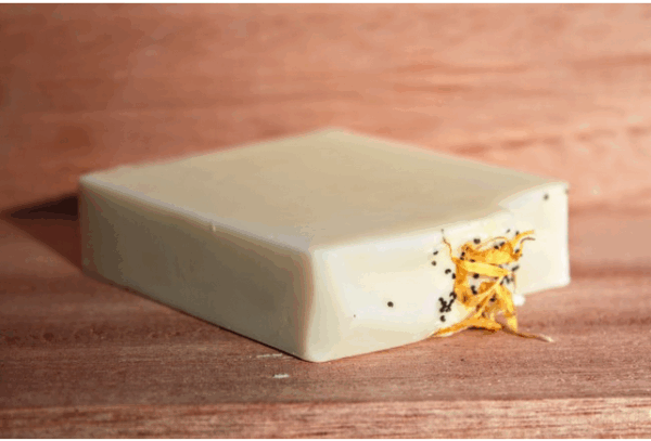 "F.A.D.A" - Savon - Le Nature Peinture - 95g
